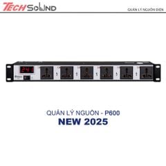 Quản lý nguồn Techsound P600