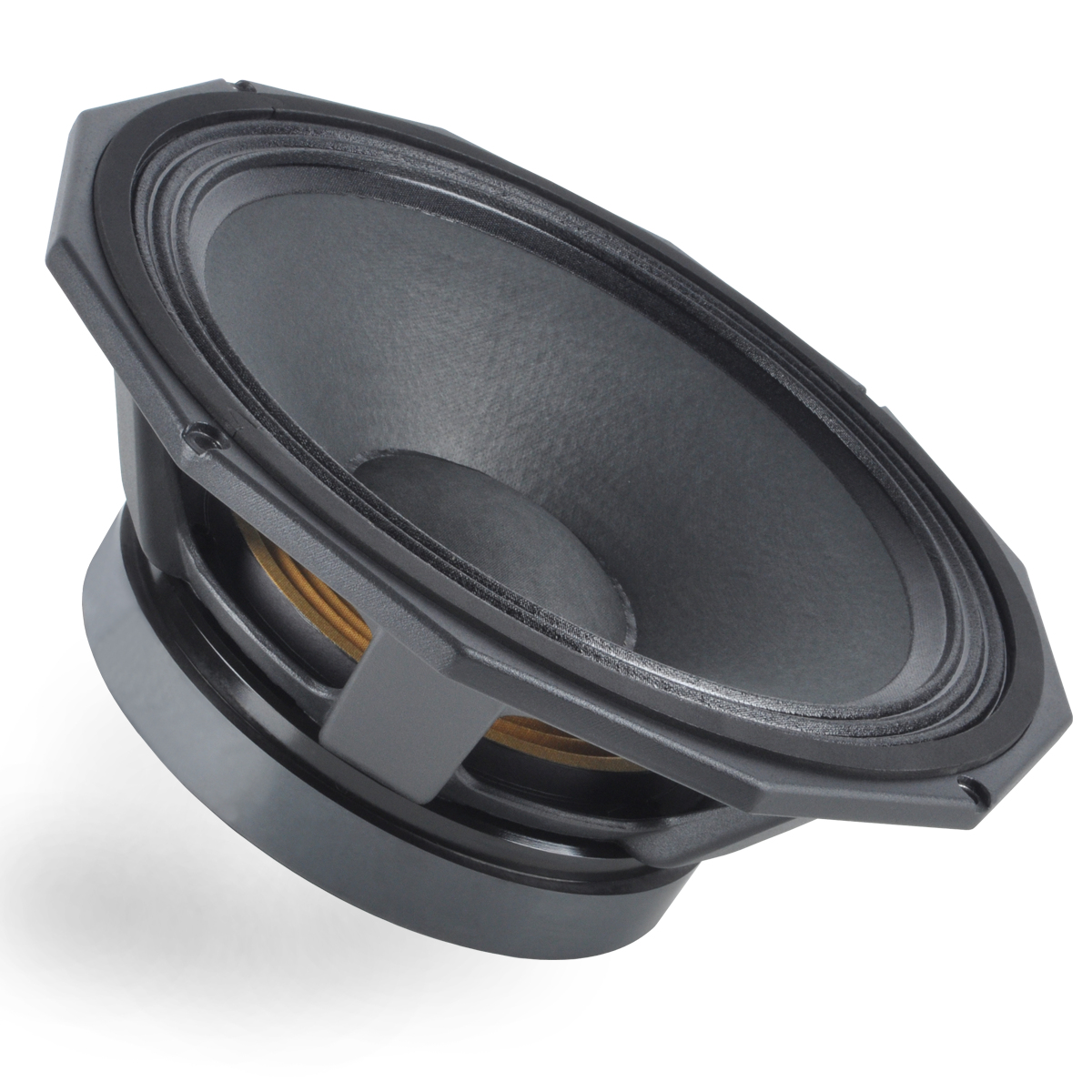 Loa 4Acoustic SC12