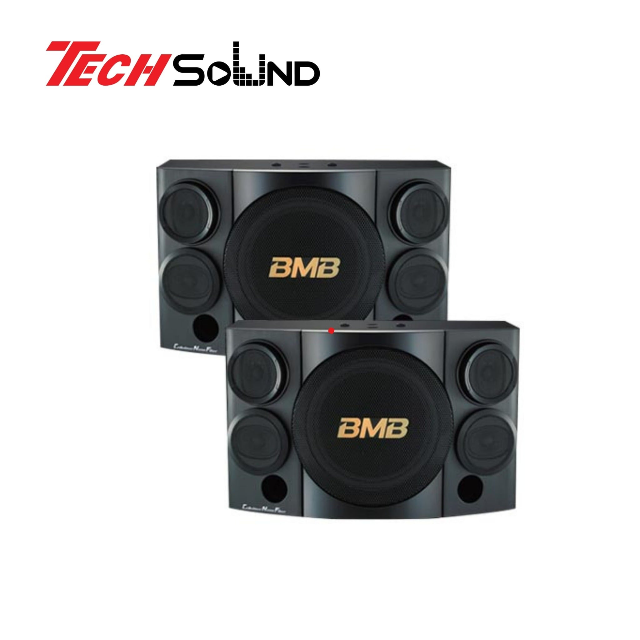 Loa Karaoke BMB CSE 310II (SE)