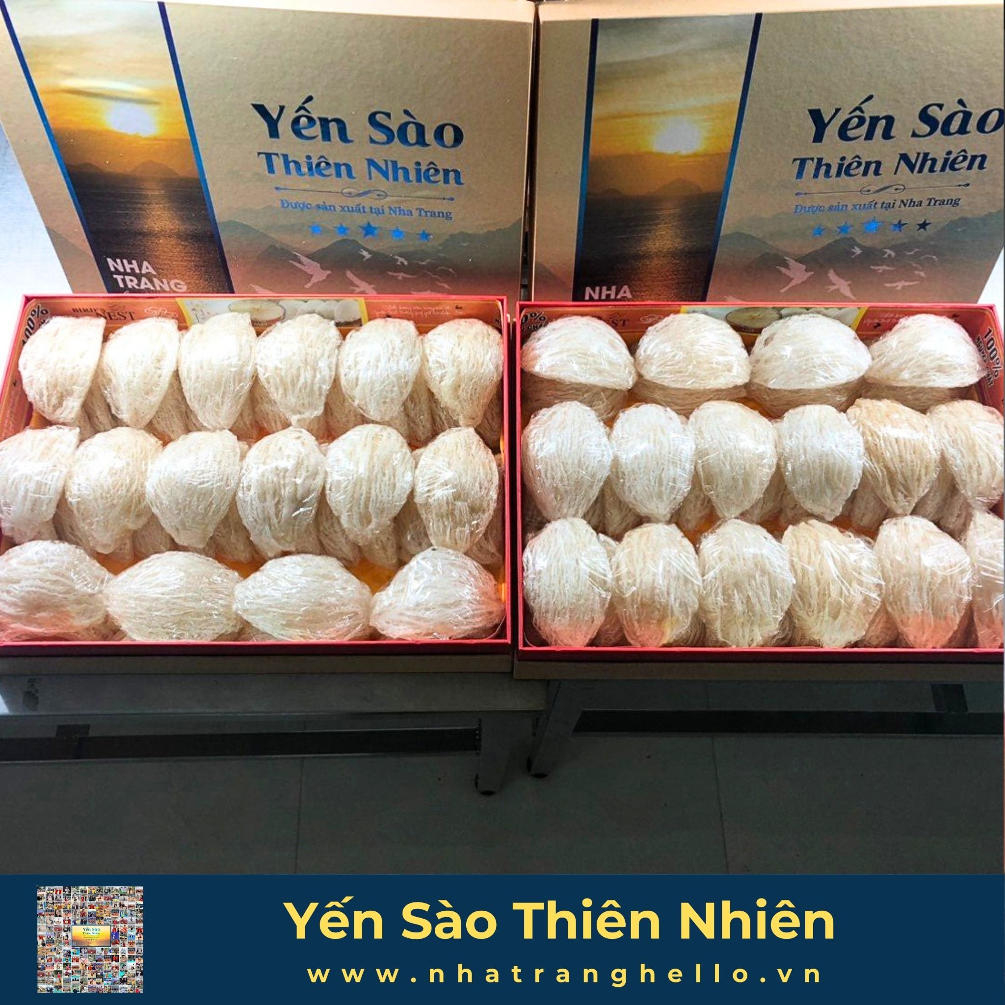 Bạch Yến - Tổ Yến Sào Nguyên Chất - Hộp 500g - Sản xuất tại Nha Trang 