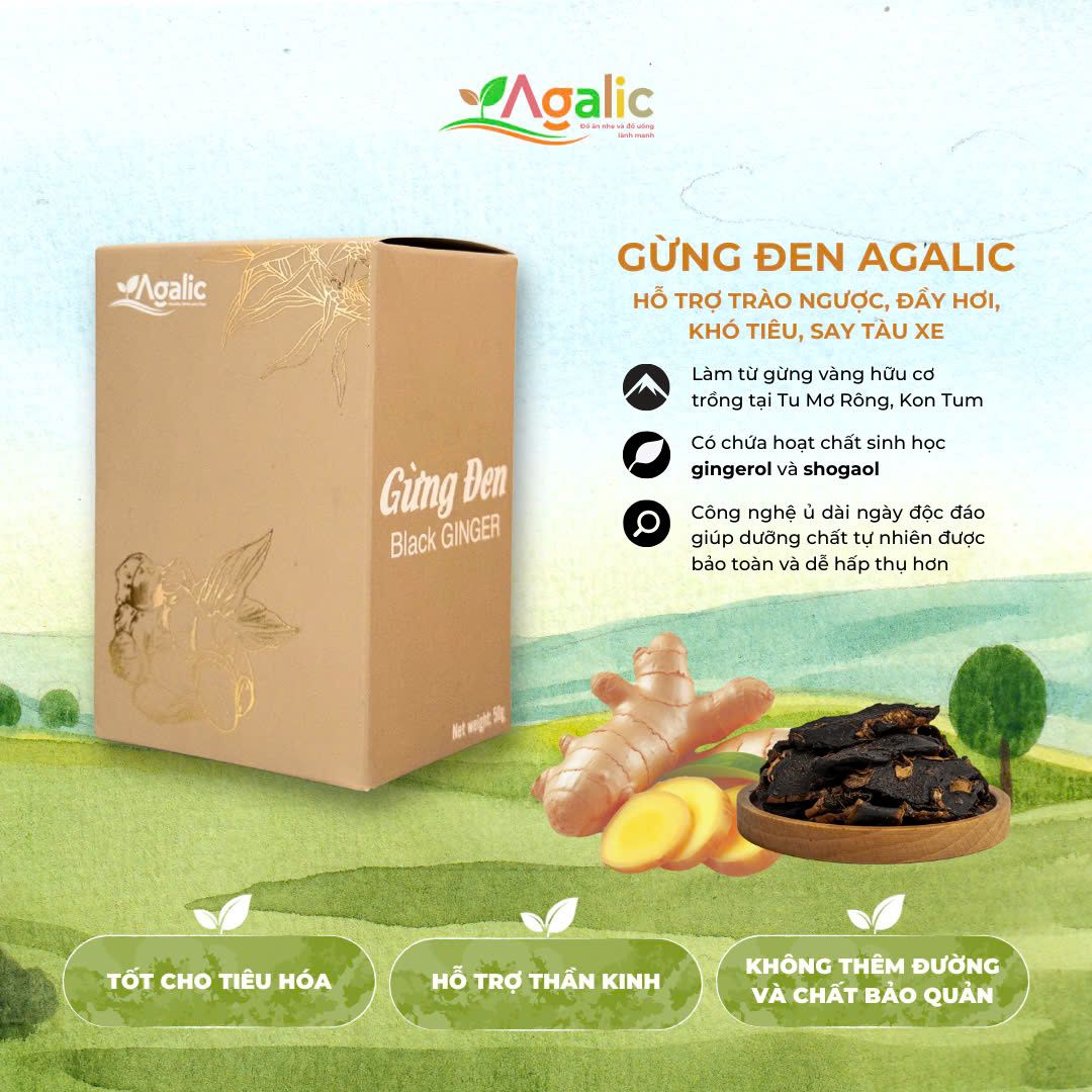  GỪNG ĐEN - Thảo Dược Lên Men 