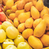  XOÀI SẤY DẺO - Nguyên Bản 