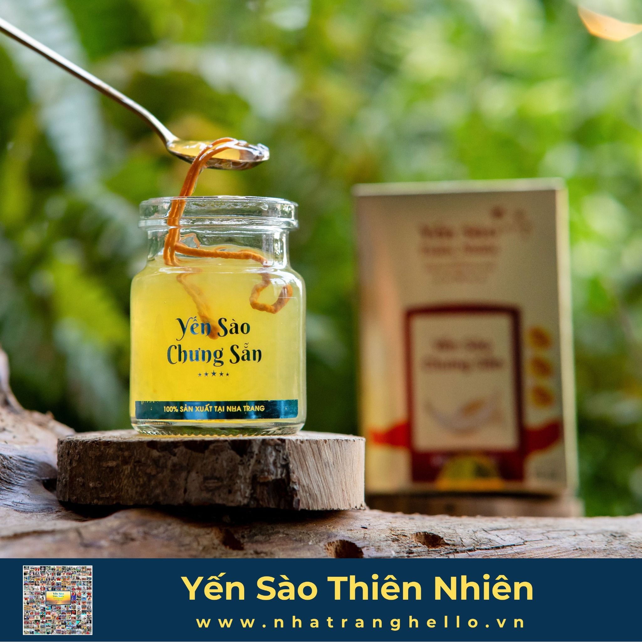  Yến Sào Chưng Sẵn - Đông Trùng Hạ Thảo - Daddy Nest' 