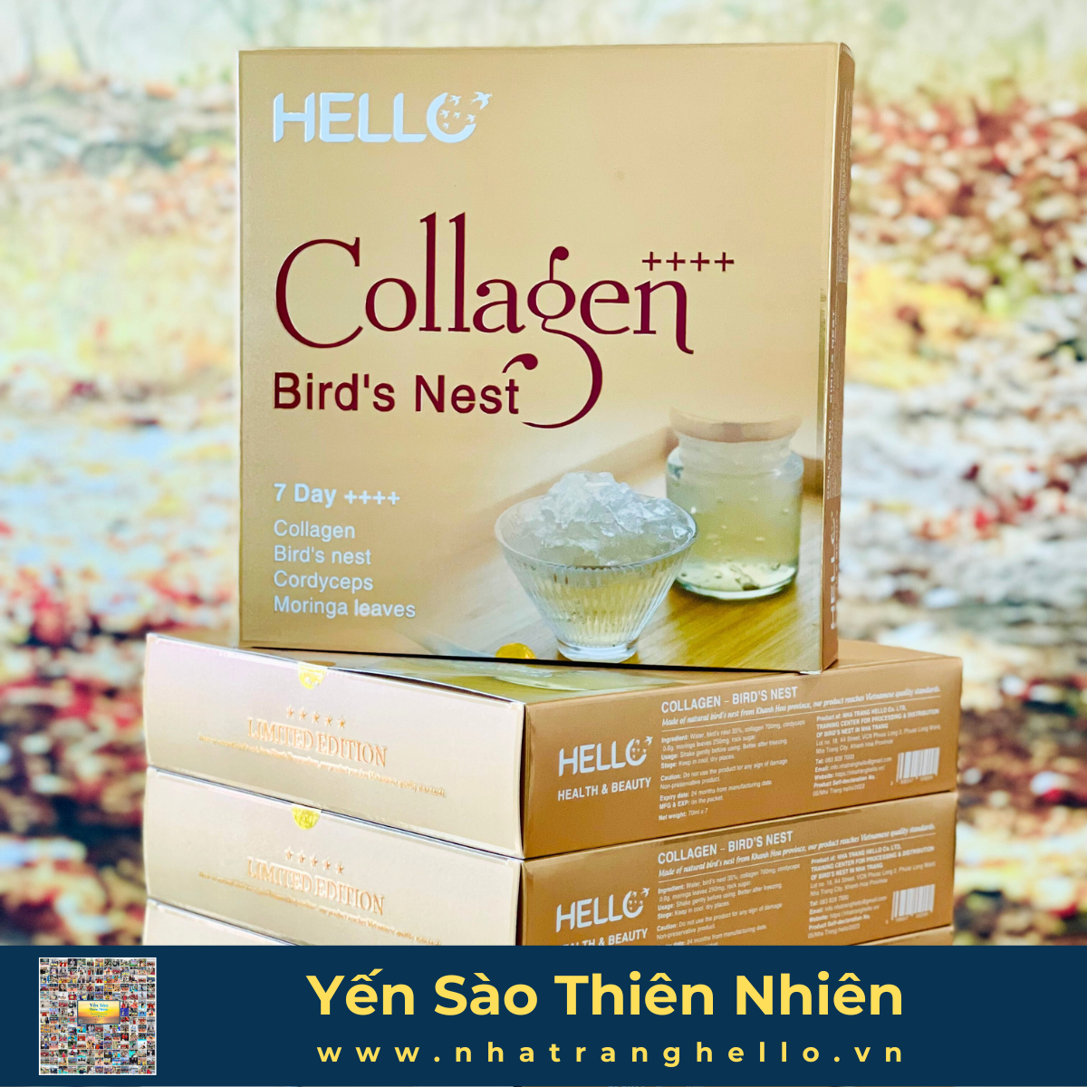  Collagen - Yến sào Cao cấp 