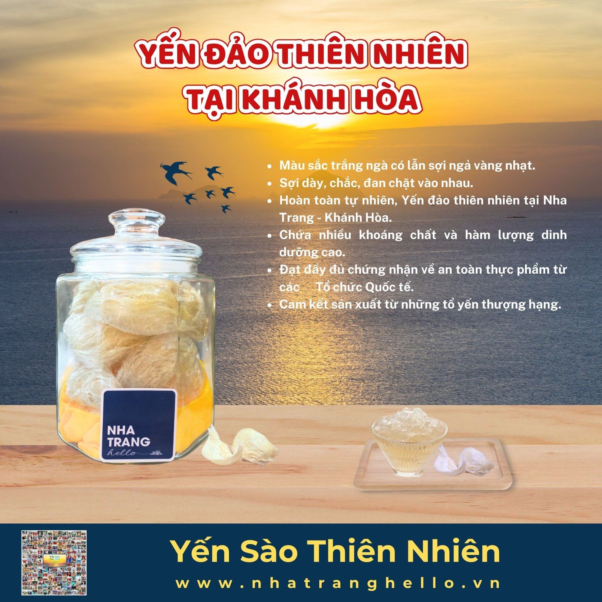  Yến Đảo Thiên Nhiên_ Tại Khánh Hòa 