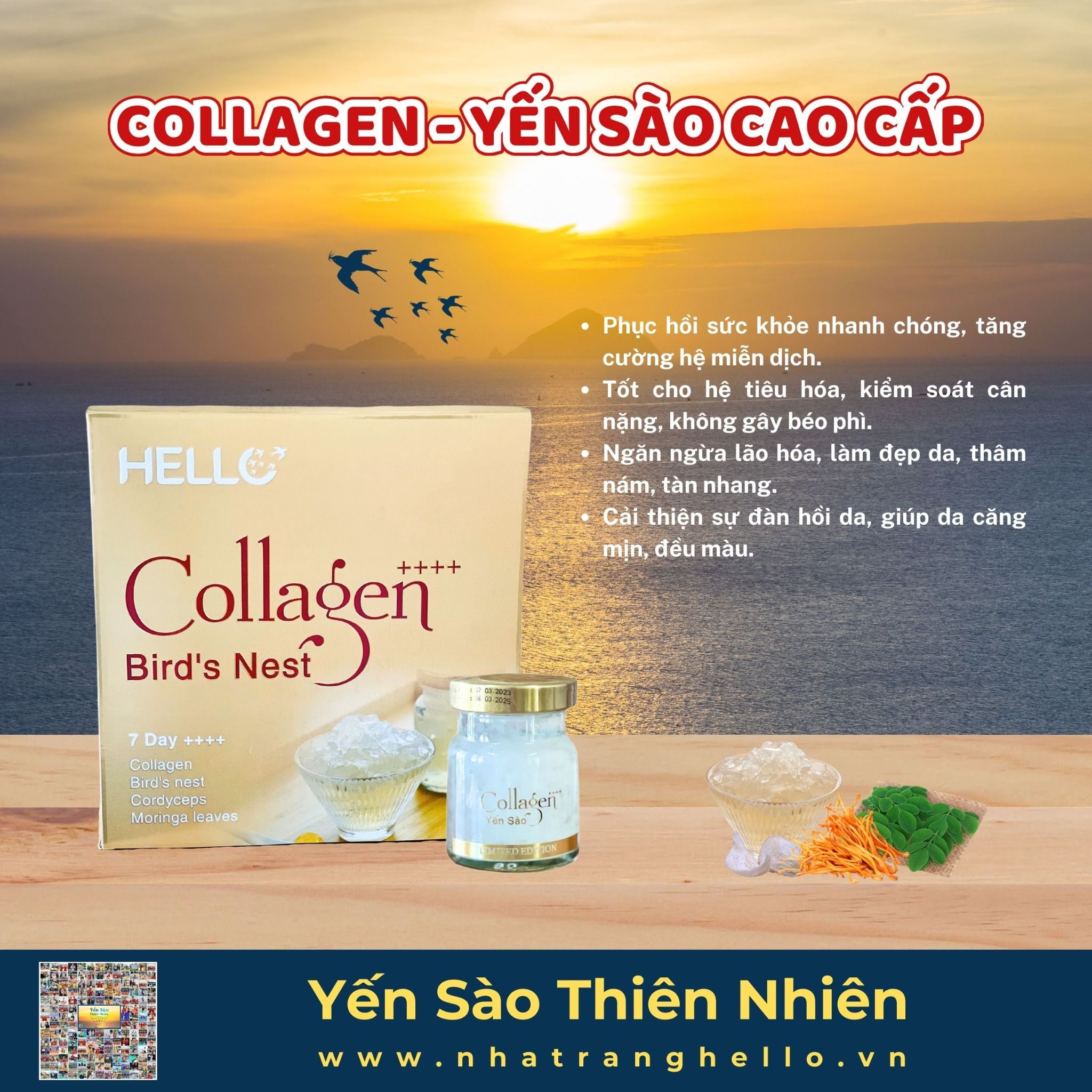  Collagen - Yến sào Cao cấp 
