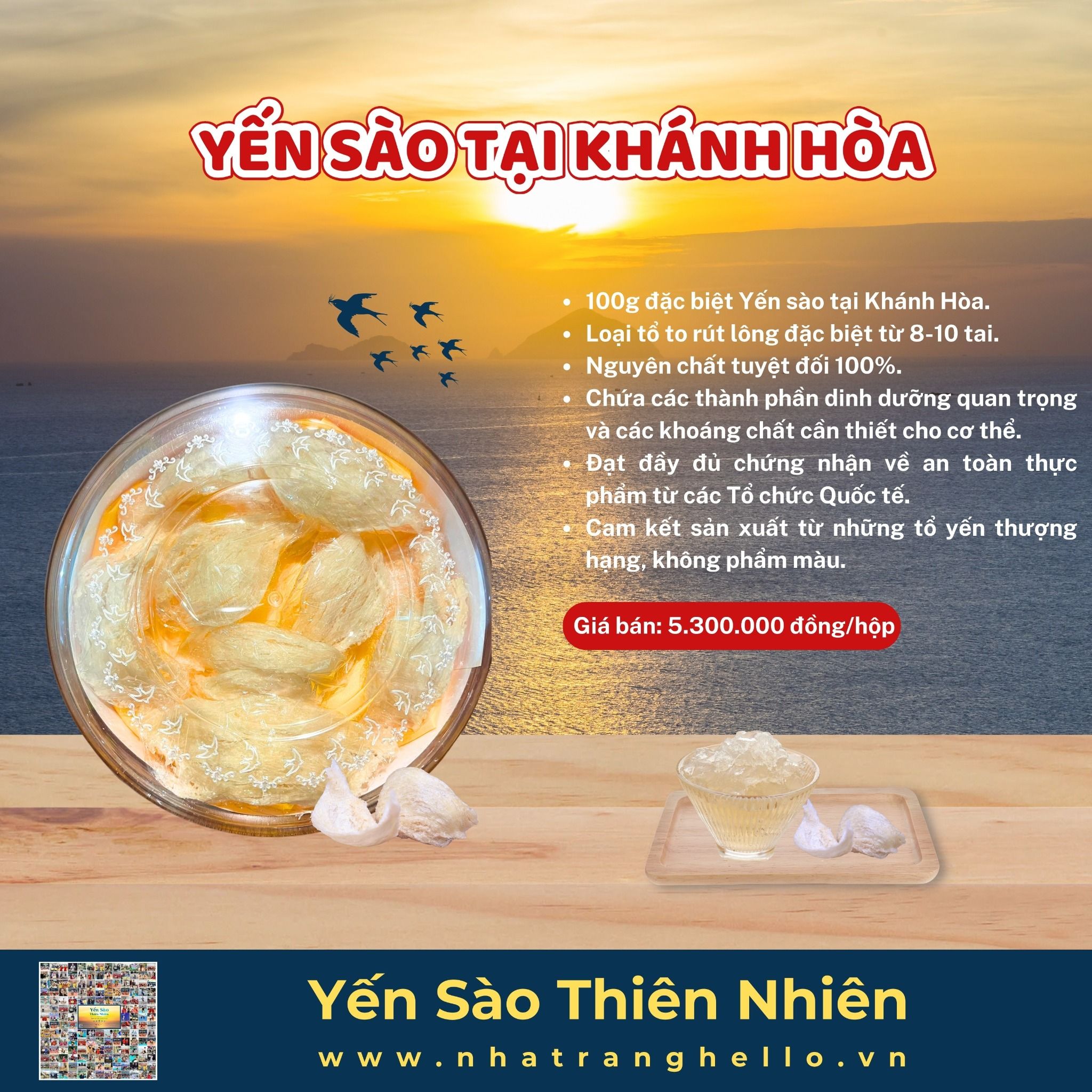  Yến Sào Cao Cấp Tại Khánh Hòa - Hộp 100g 