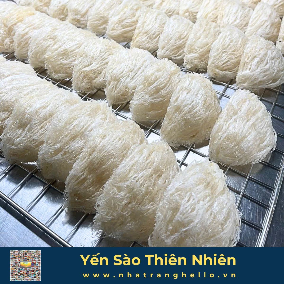  Gia Công -Tổ Yến Sào Tại Khánh Hòa 