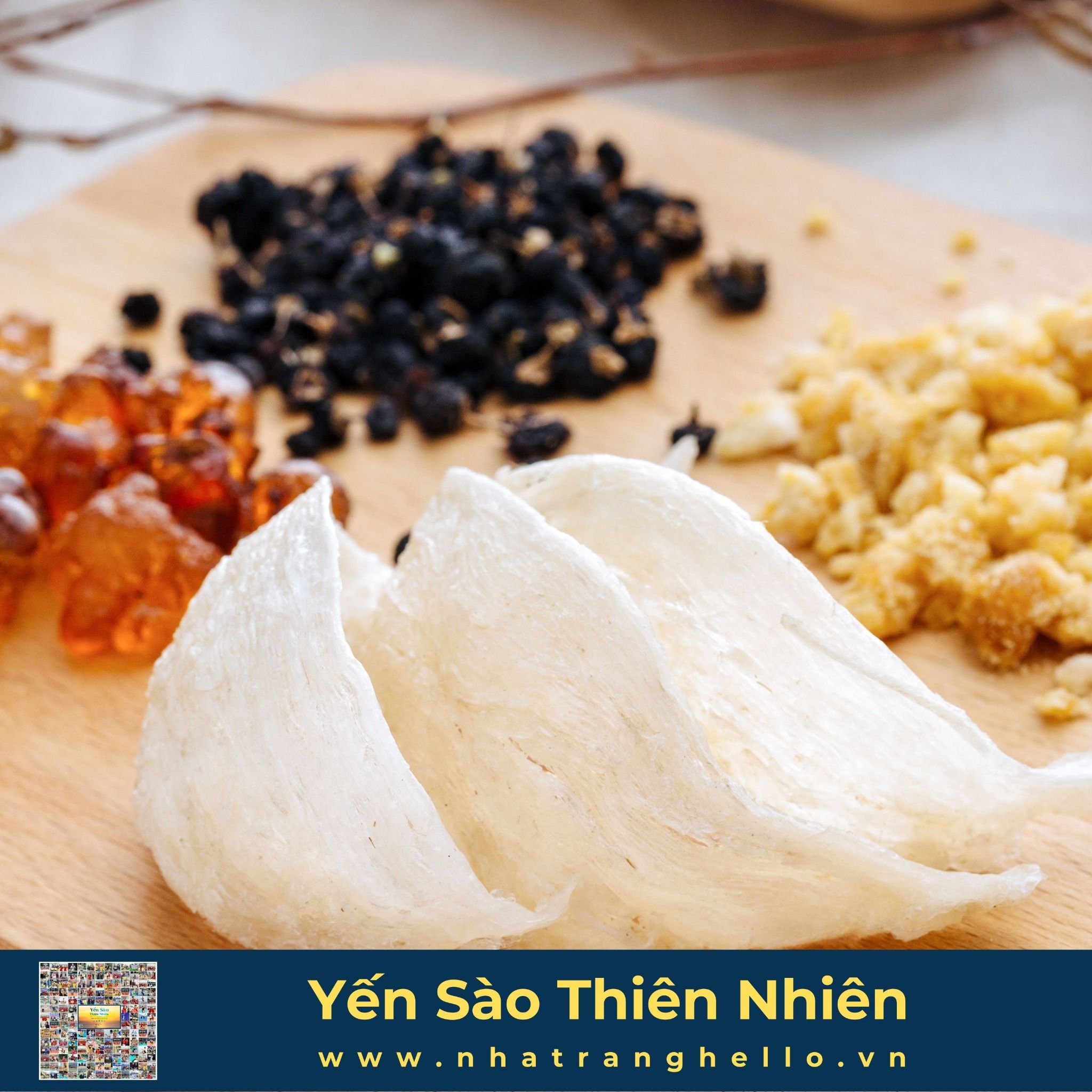  Yến Sào Cao Cấp Tại Khánh Hòa - Hộp 100g 