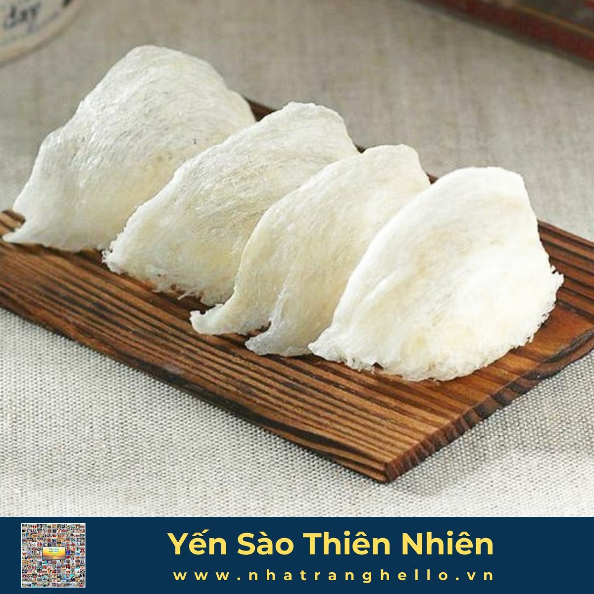  Gia Công -Tổ Yến Sào Tại Khánh Hòa 