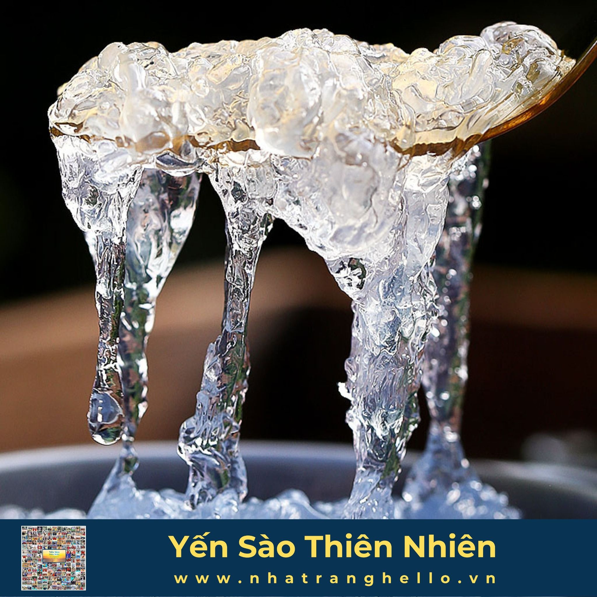  Yến Đảo Thiên Nhiên_ Tại Khánh Hòa 