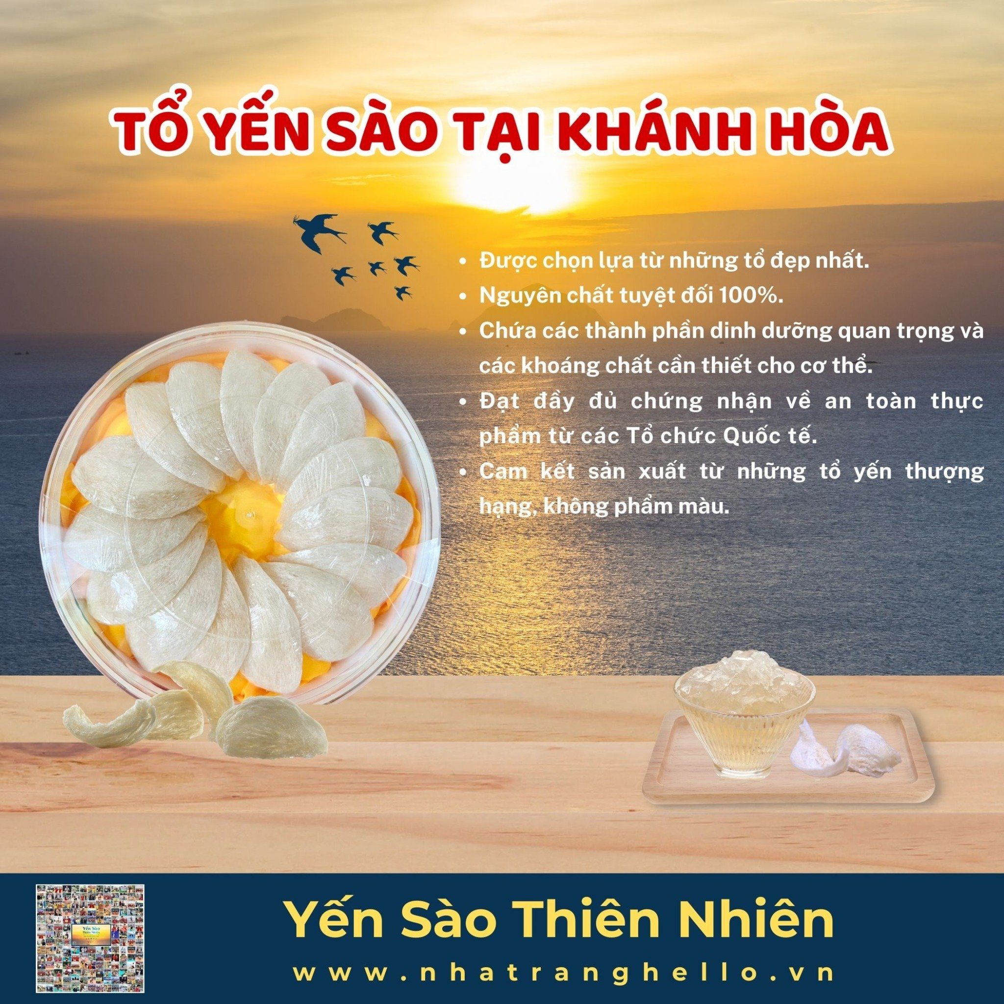  Gia Công -Tổ Yến Sào Tại Khánh Hòa 
