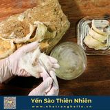  Bạch Yến - Cao Cấp - Tổ Yến Sào Nguyên Chất Sản Xuất Tại Nha Trang hộp 100g 