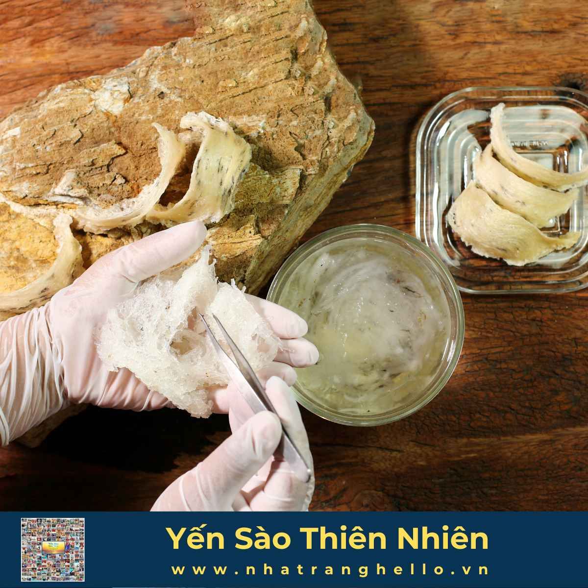  Bạch Yến - Cao Cấp - Tổ Yến Sào Nguyên Chất Sản Xuất Tại Nha Trang hộp 100g 