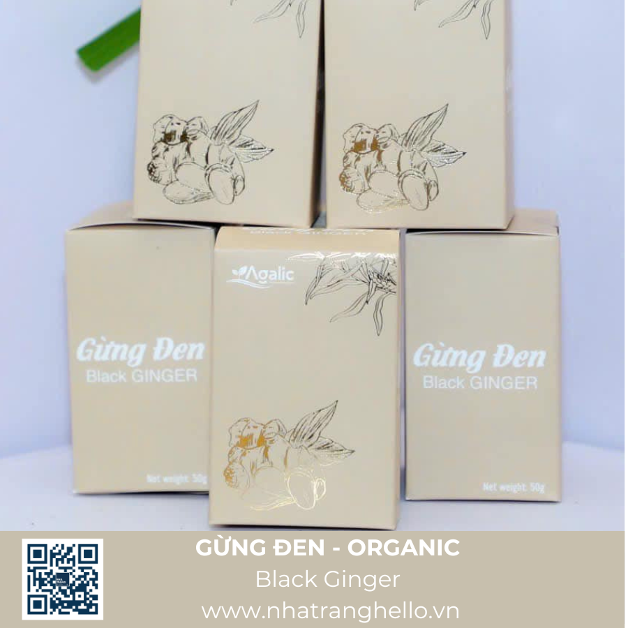  GỪNG ĐEN - Thảo Dược Lên Men 