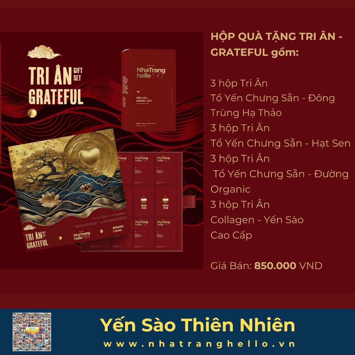  Hộp Quà Tặng Tri Ân 
