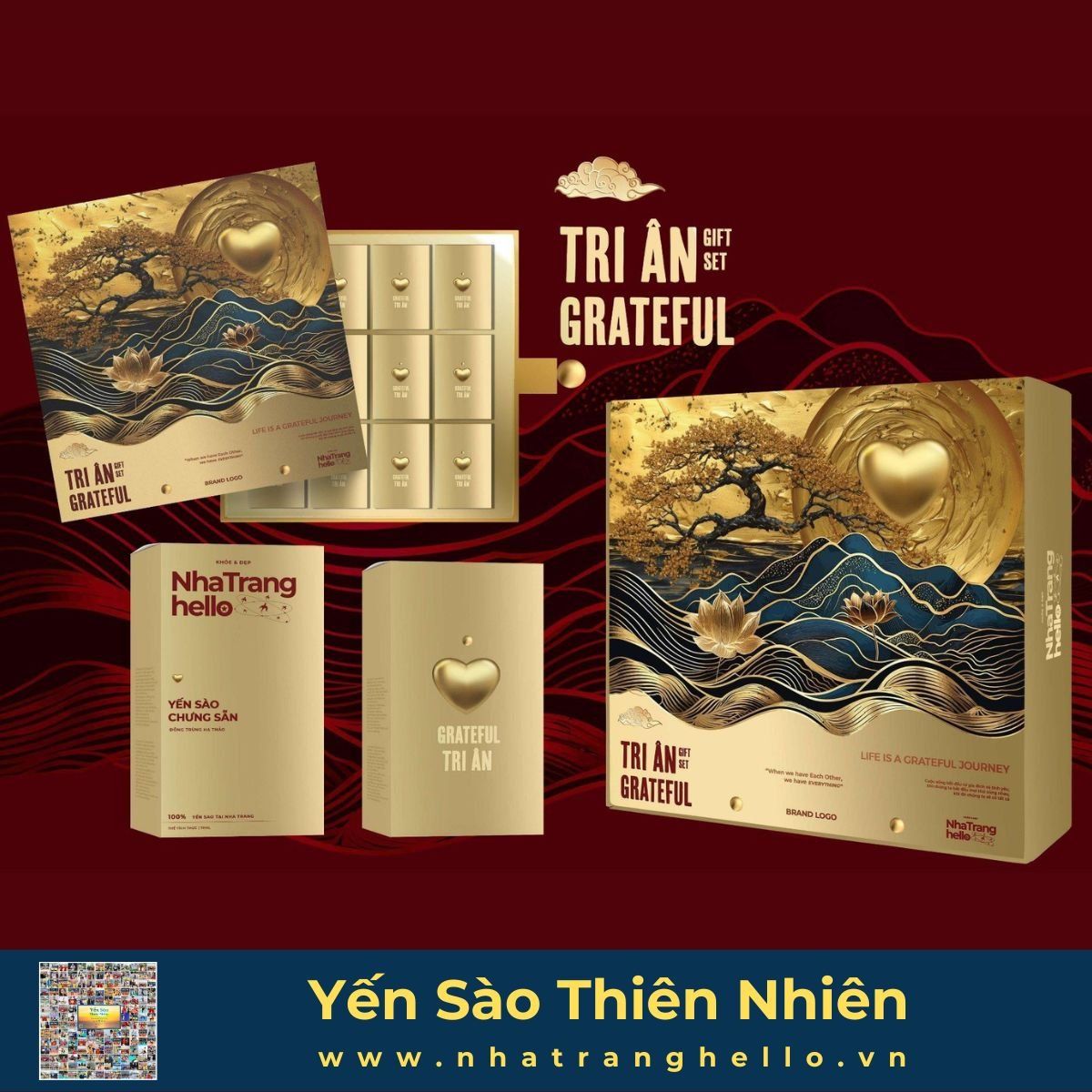  Hộp Quà Tặng Tri Ân Yến Sào Thiên 