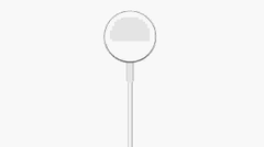 Dây sạc Apple Watch Magnetic Fast Charger to USB-C Cable 1m - Hàng Chính Hãng Apple Việt Nam