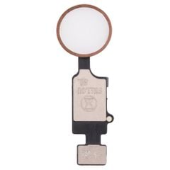 Thay Cáp Home iPhone 7 / 8 Plus