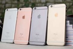 Thay IC Hiển Thị Cảm Ứng iPhone 6/6s Plus