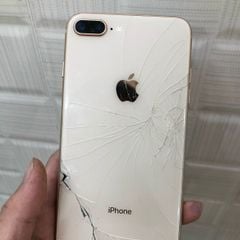 Thay Kính Lưng iPhone 8 Plus
