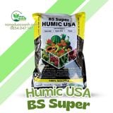  BS Super Humic USA 1KG 