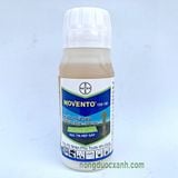  MOVENTO 150OD – CHIẾN THẦN TRỊ RỆP SÁP TẬN GỐC 