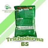  Phân Bón Hữu Cơ Trichoderma BS 