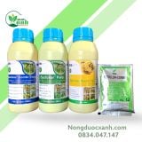  Bộ tứ hoàn hảo Fetrilon-Combi + Basfoliar Combi-Stipp+ Basfoliar Kelp + Basfoliar Boron công ty BM 