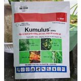  KUMULUS 80WG – THUỐC ĐẶC TRỊ BỆNH PHẤN TRẮNG, GHẺ SẸO CHO CÂY TRỒNG 