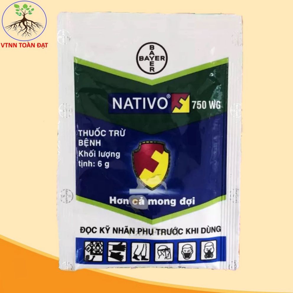  Thuốc trừ bệnh NATIVO 750WG (6g) - Quà hot 