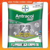  Antracol 70WP 1kg Thuốc Phòng Bệnh, Bảo Vệ Cây Antracol 70WP 