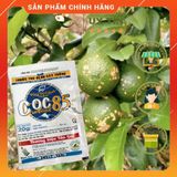  [COMBO 5] Thuốc trừ nấm bệnh COC 85 gói 20g [sieutietkiem] . Nông Dược Xanh 