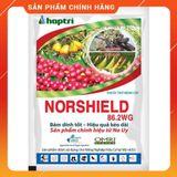  Norshield 86.2WG Thuốc trừ bệnh gốc đồng che phủ bám dính tốt 