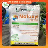  MATAXYL 500WP (100g) quản lý nấm bệnh trên cây trồng. Nông Dược Xanh 