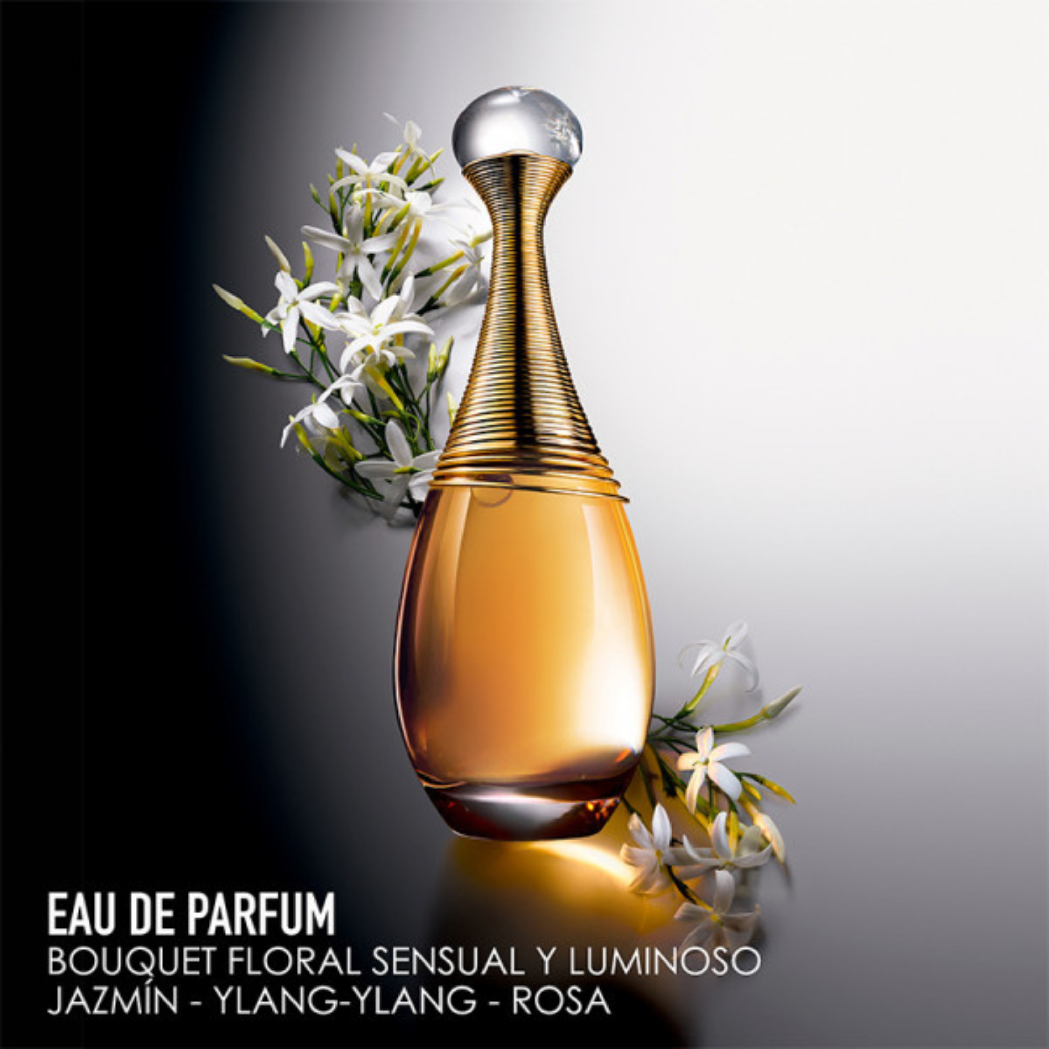 Nước Hoa Nữ Dior Jadore Absolu EDP KYOVN #46 Nước Hoa Nữ Dior Jadore Absolu EDP KYOVN