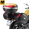 Baga FZ