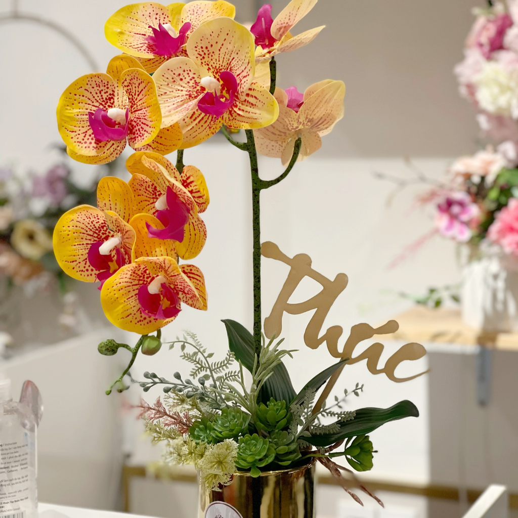 ZSAMPLE ORCHID BONSAI
