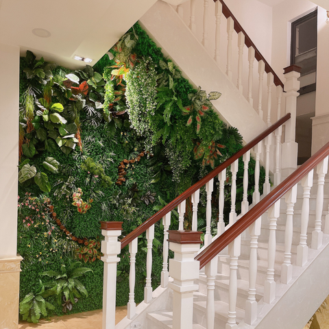  Tường cây Amazone's 