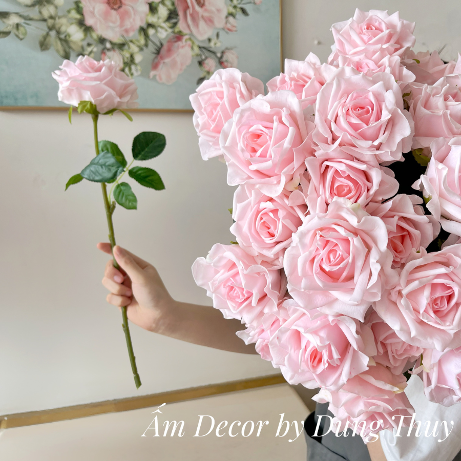 ZHOA HỒNG NHUNG (Hồng Đậm)