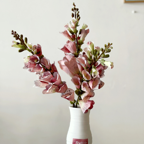  FOXGLOVE (Chi Mao Địa Hoàng) 