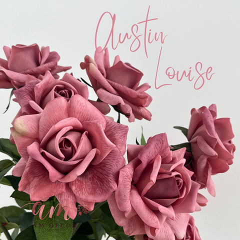  AUSTIN MÙA THU (Hồng Nâu) 