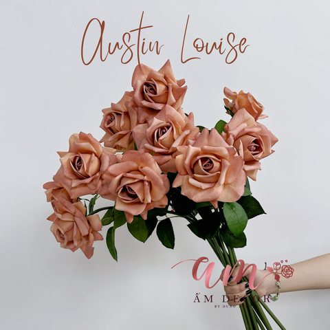  AUSTIN MÙA THU (Nâu) 