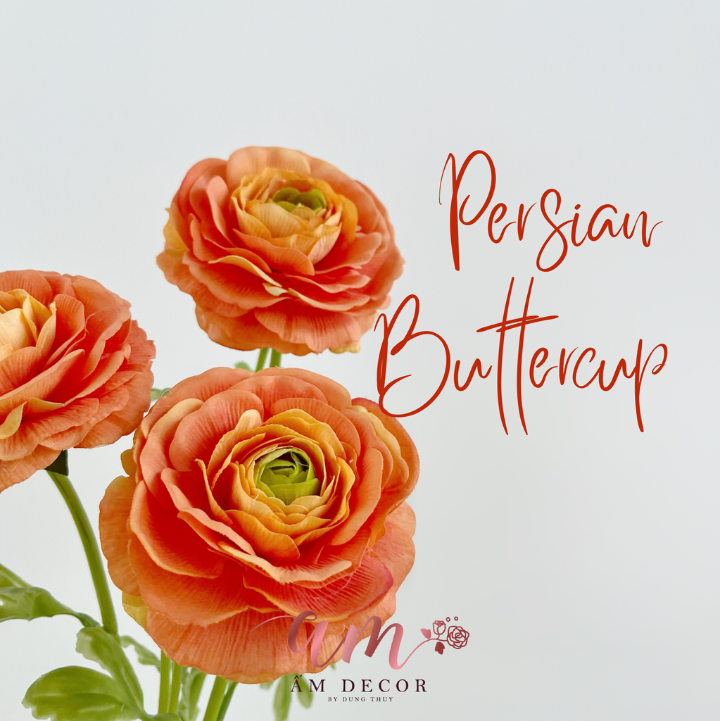 MAO LƯƠNG LỤA ẨM (Cam)