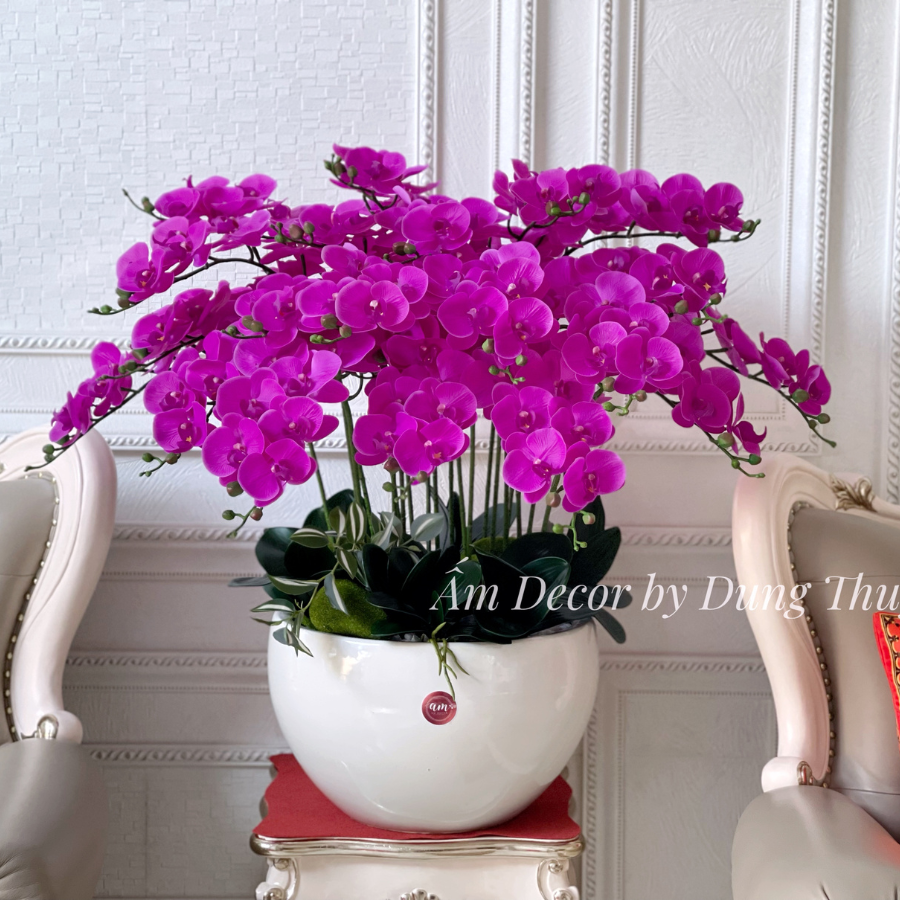 ORCHID VIOLET ARANGEMENT