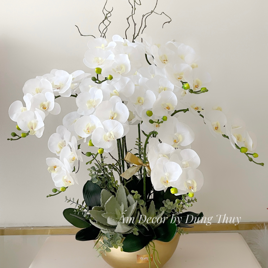 BÌNH HOA LAN HỒ ĐIỆP TRẮNG