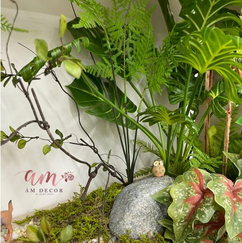  TIỂU CẢNH RỪNG AMAZONE'S 