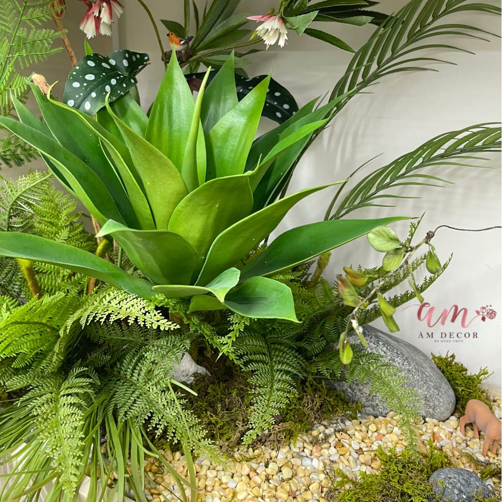 TIỂU CẢNH RỪNG AMAZONE'S