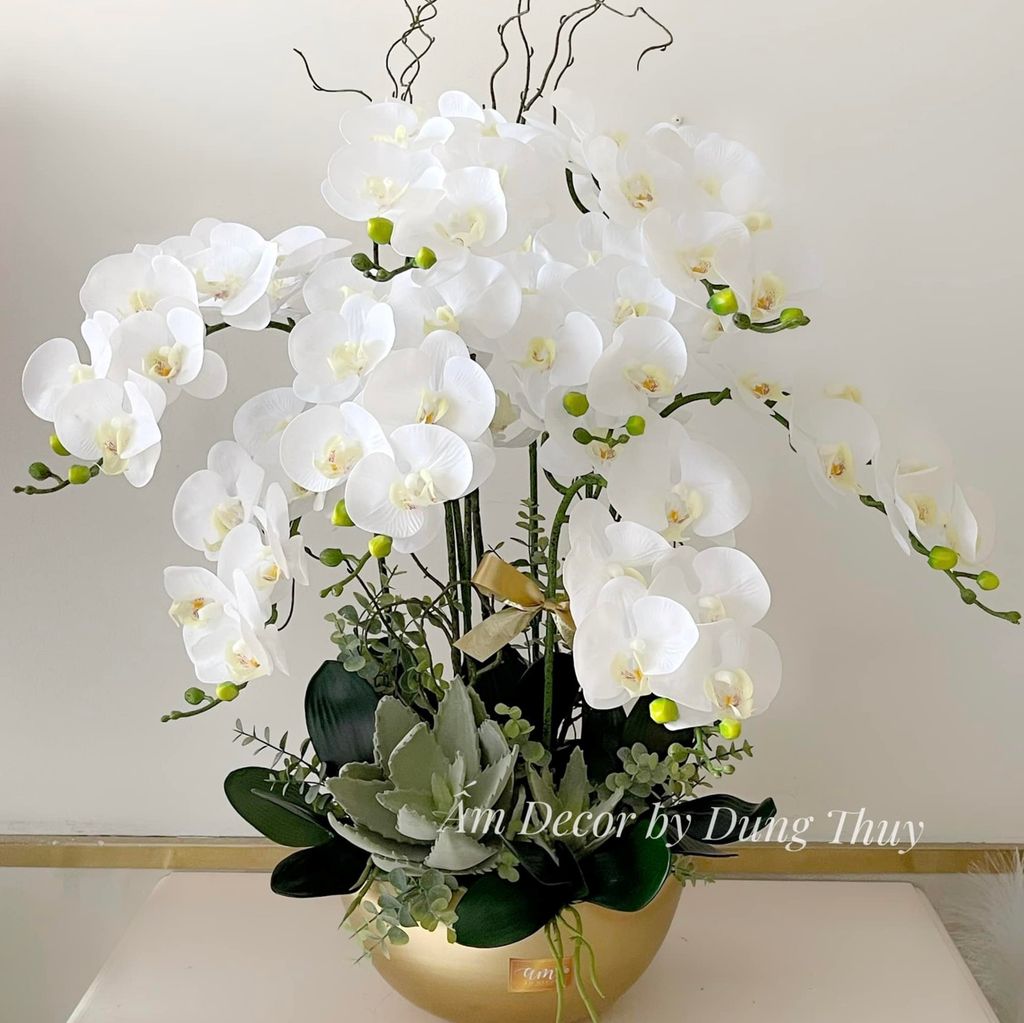 BÌNH HOA LAN HỒ ĐIỆP TRẮNG