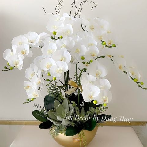  BÌNH HOA LAN HỒ ĐIỆP TRẮNG 